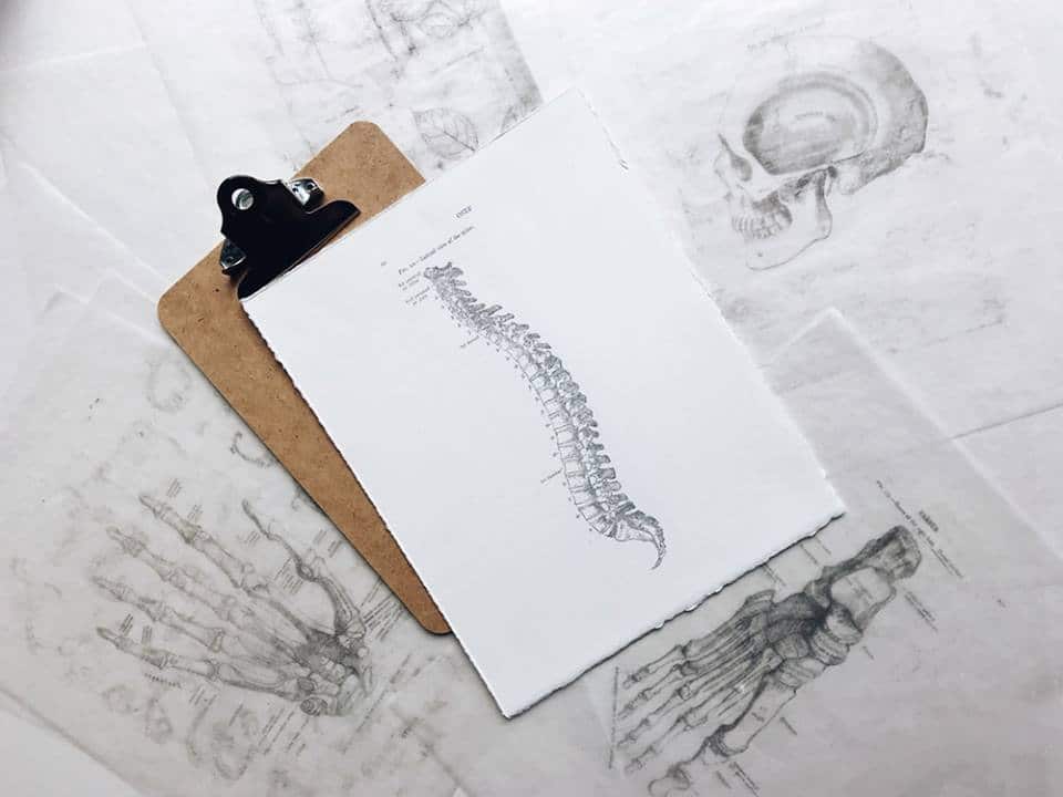 Back 2 Back Chiropractic